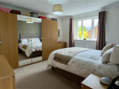 Picture 20